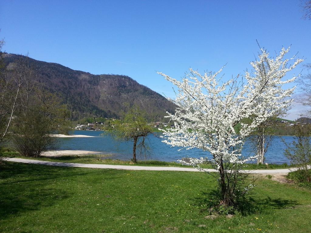 Buchauer-Tirol / Landhaus Buchauer Thiersee Eksteriør billede
